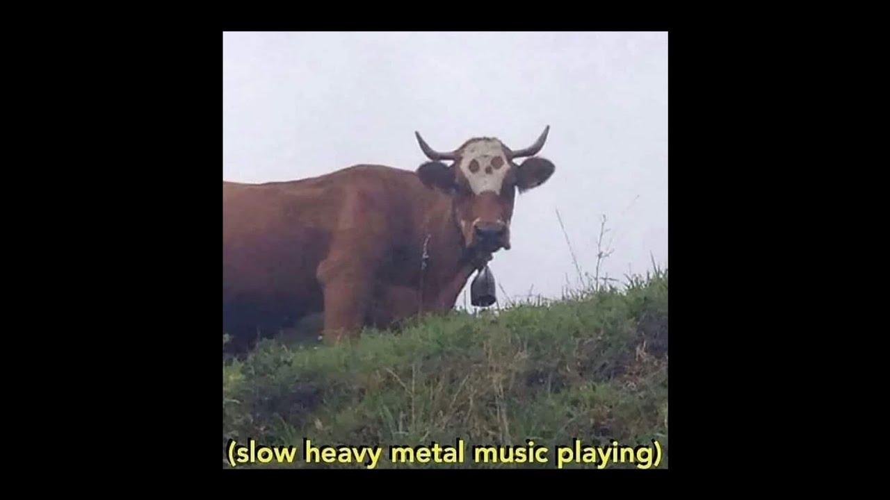 Chaotic Memes 35