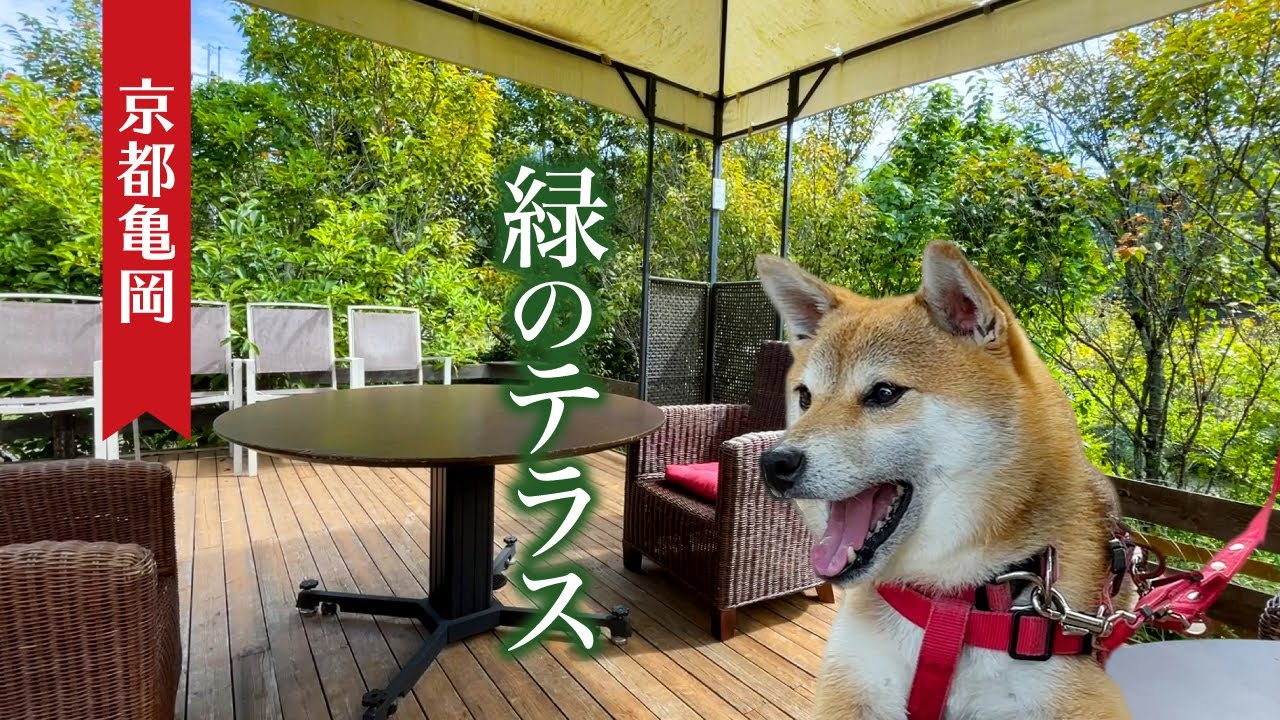 亀岡の緑に犬と癒される休日〜Cafe&Diner 2909〜Café de MOTHERS〜