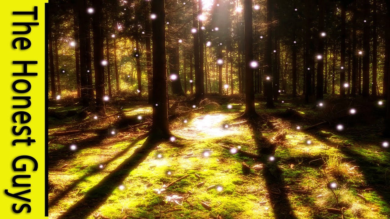Guided Sleep Meditation 
