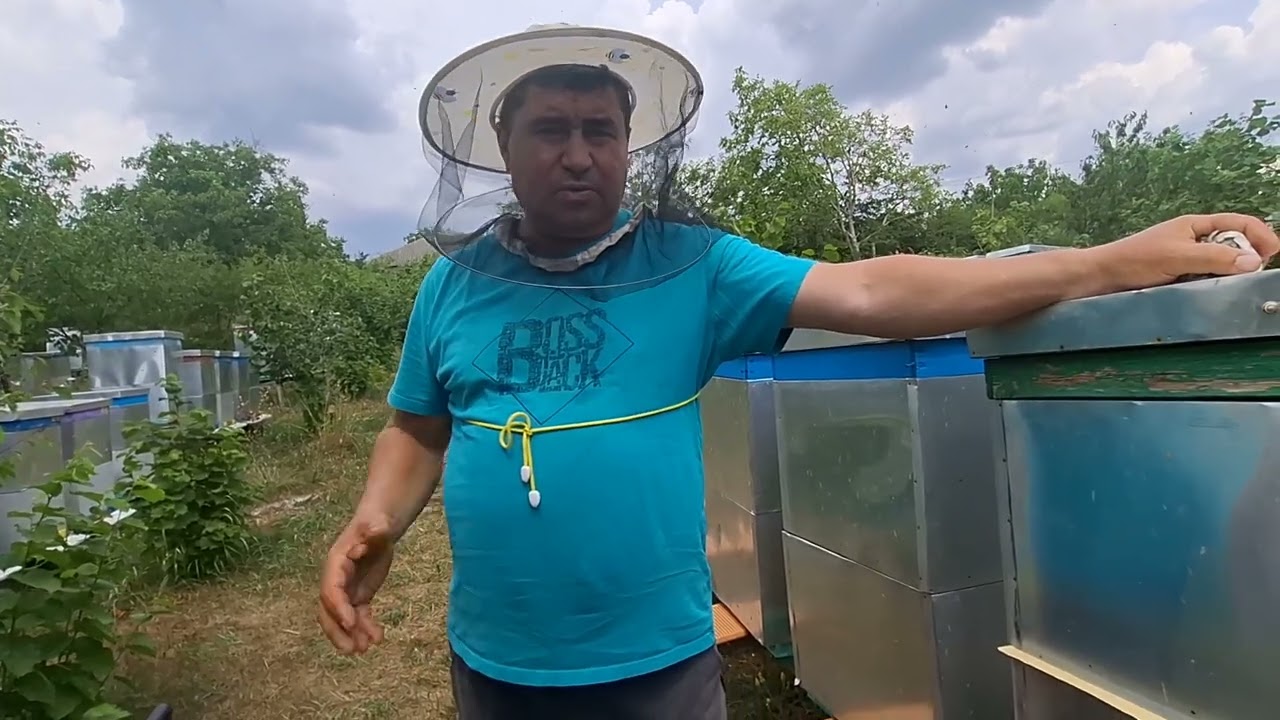 781.Rezultatul unificarilor.