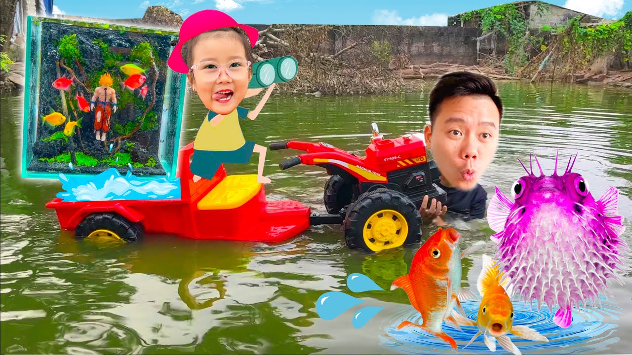 Changcady ra đồng bắt con cá, con cua - thi trang trí bể cá cảnh siêu ngầu