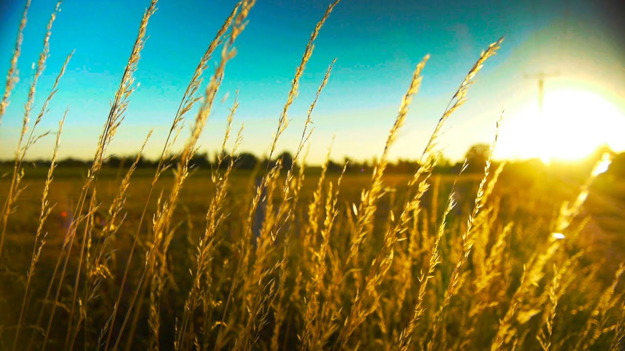 Slow, Peaceful and Calming Piano Music -  work, study, relax - relaxdaily N&deg;057