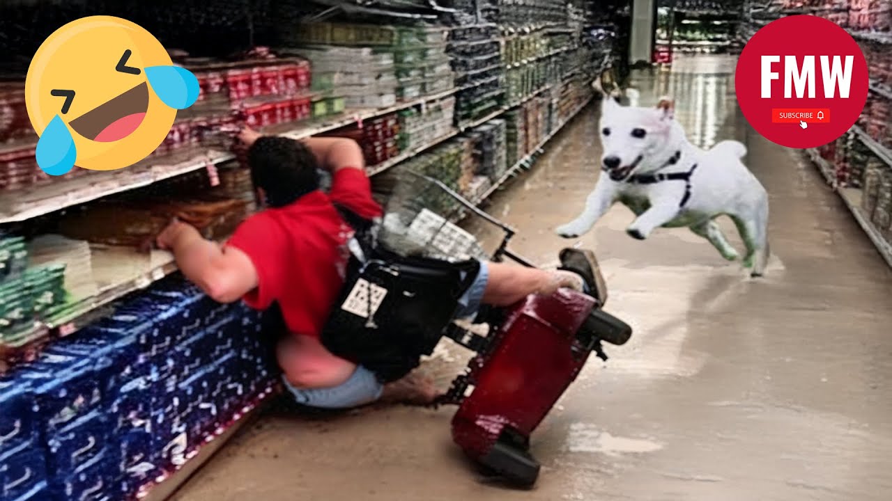 Hilarious People's Life 😂 #262 | Instant Regret Fails 2024 - Try Not To Laugh Challenge
