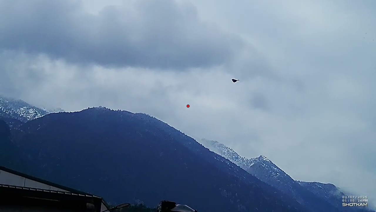 Tordo hunting shotkam 2025