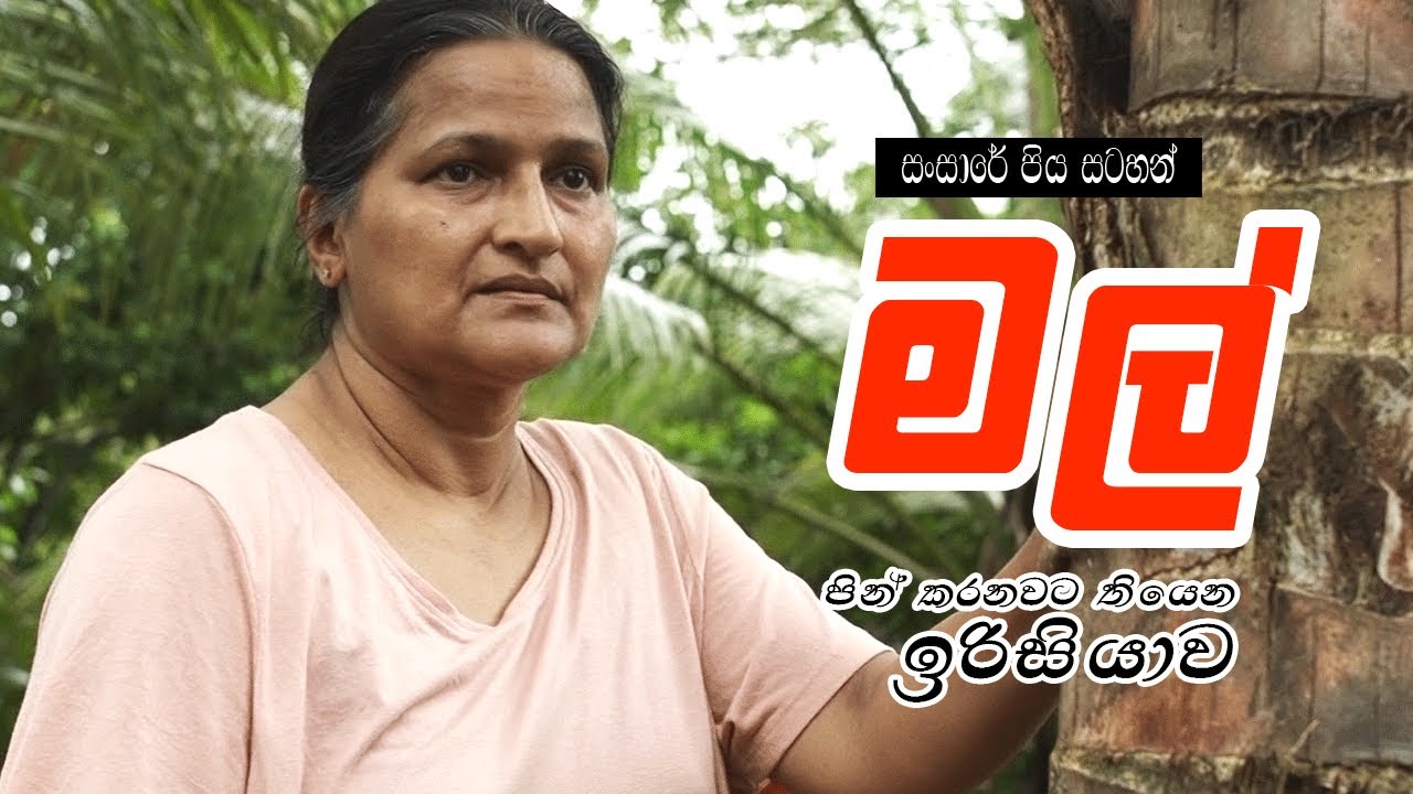 කෝ ඉන්නවද මල් හෙර ? ලැජ්ජා නෑනේ අම්මපා || Mal ( මල් ) || Sansare Piya Satahan