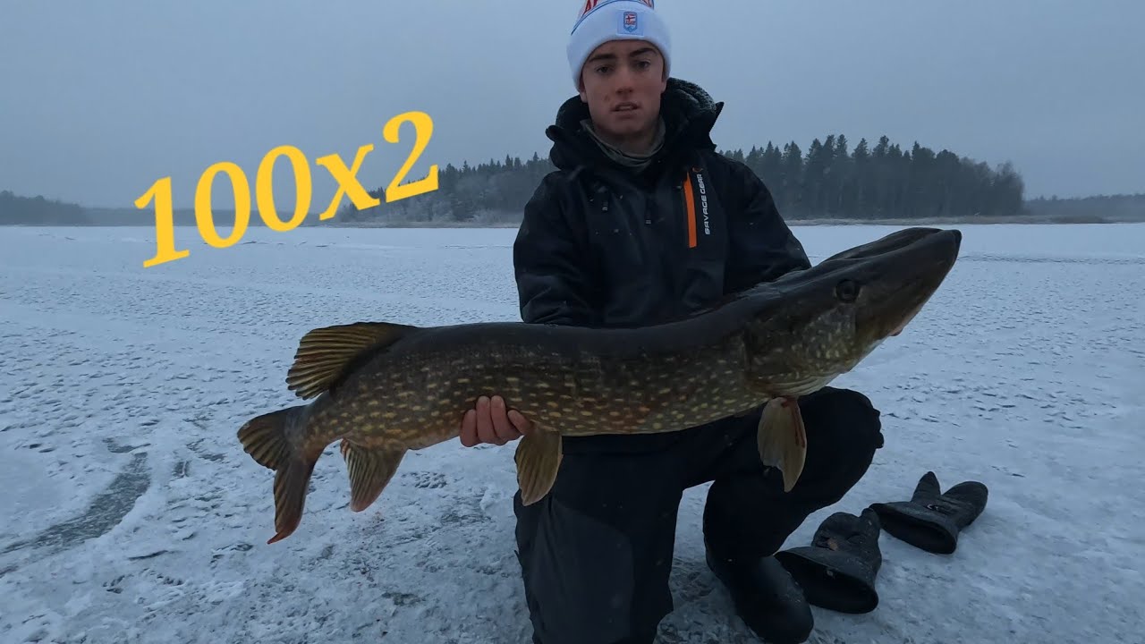 Två meters gäddor på ismete 