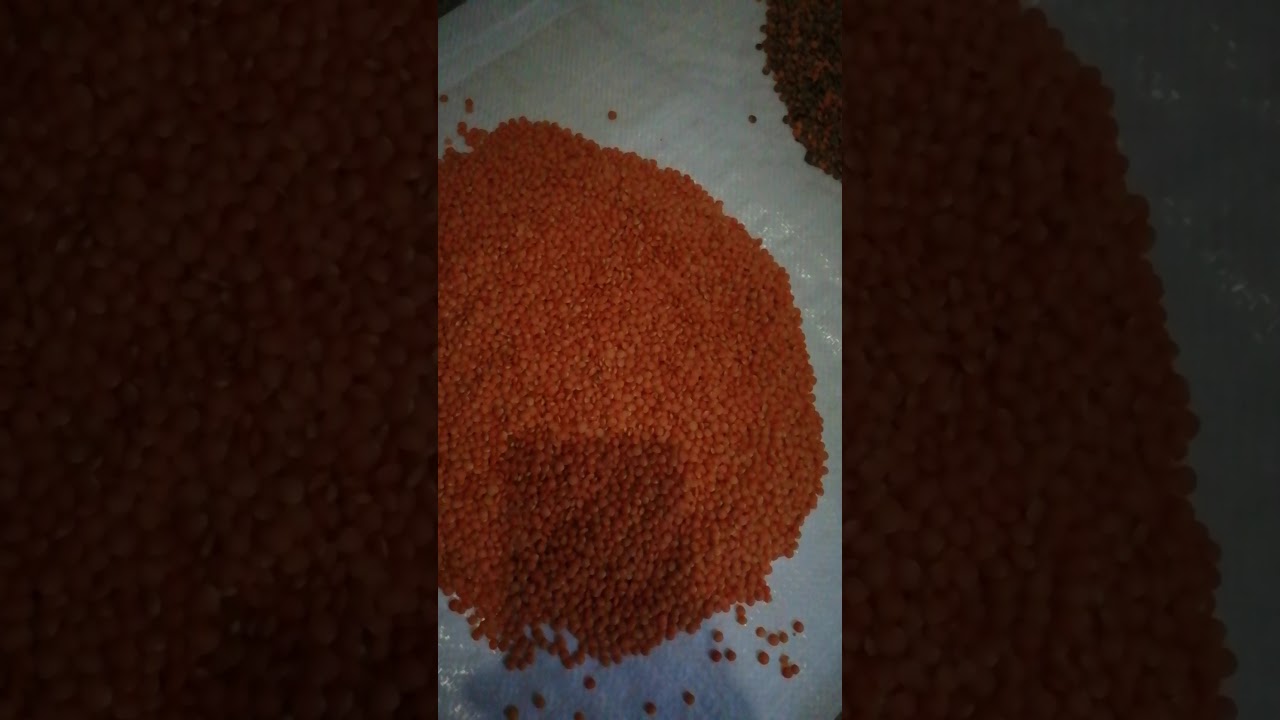 Sortex Z+ Böhler Mercimek Ayıklama ✔️