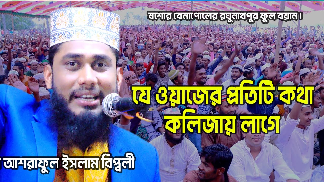 Ashraful Islam Biplobi Waz /আশরাফুল ইসলাম বিপ্লবী নতুন ওয়াজ/new bangla waz Ashraful Islam Biplobi