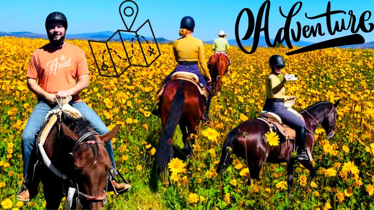 GALLOPING THROUGH WILDFLOWER FIELDS IN MEXICO!