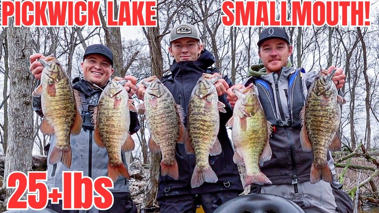 Fishing the Land of GIANT Smallmouth Bass! (Pickwick Lake)