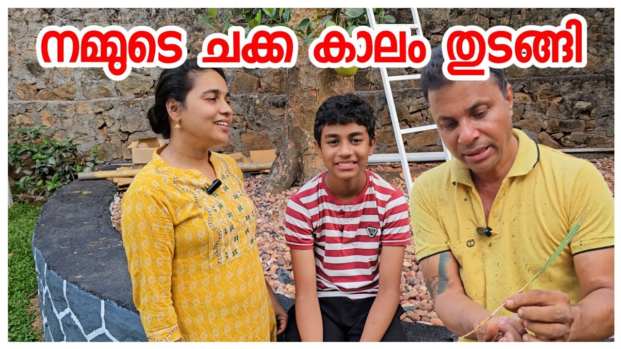 ഞങ്ങളുടെ ചക്ക കാലം../Agriculture /Adukkalathottam /Fishing /Chakka mezhkkupuratti