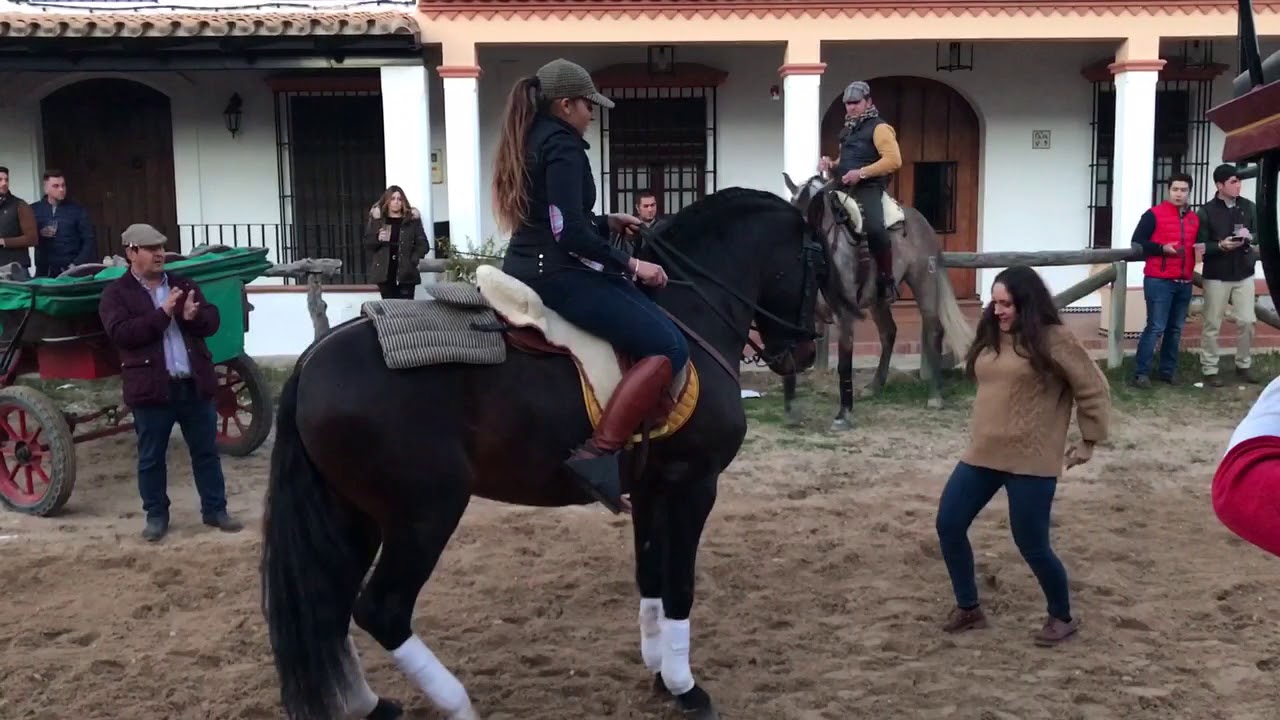 Peregrinación de Triana 2018