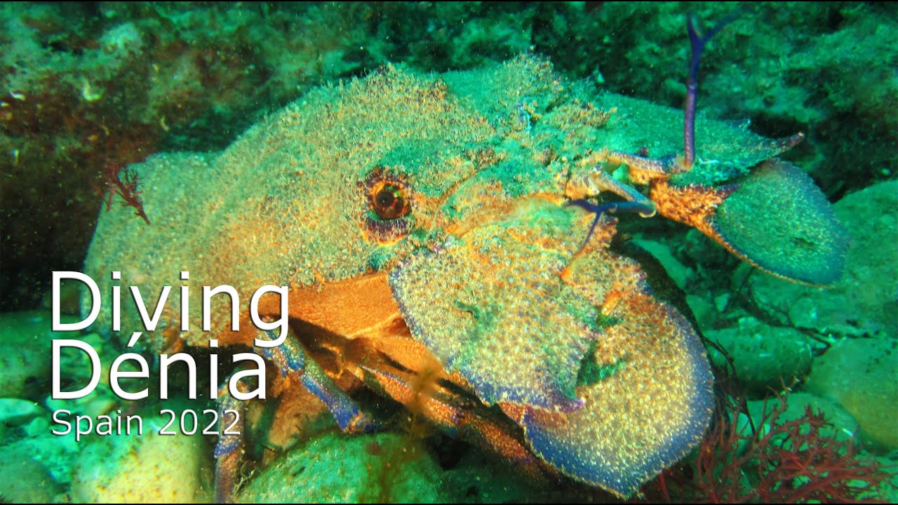 Diving Dénia - Spanien 2022