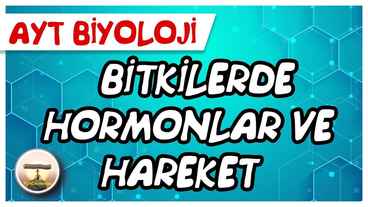 AYT Biyoloji | Bitkilerde Hormonlar ve Hareket #sayfa198