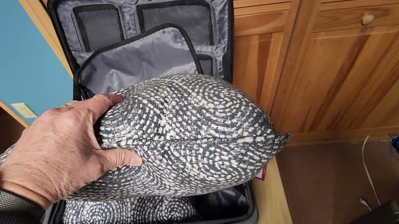 ROAMING 20 Inch Carry On Luggage Review vs Luggex Carry on.