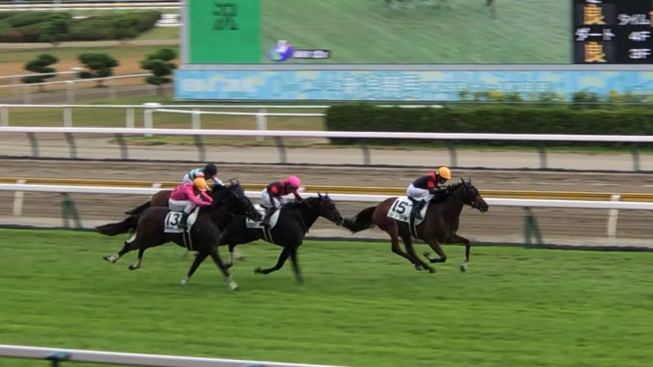 【現地】ラッジオ 津村明秀 3歳上1勝C 母イリュミナンス