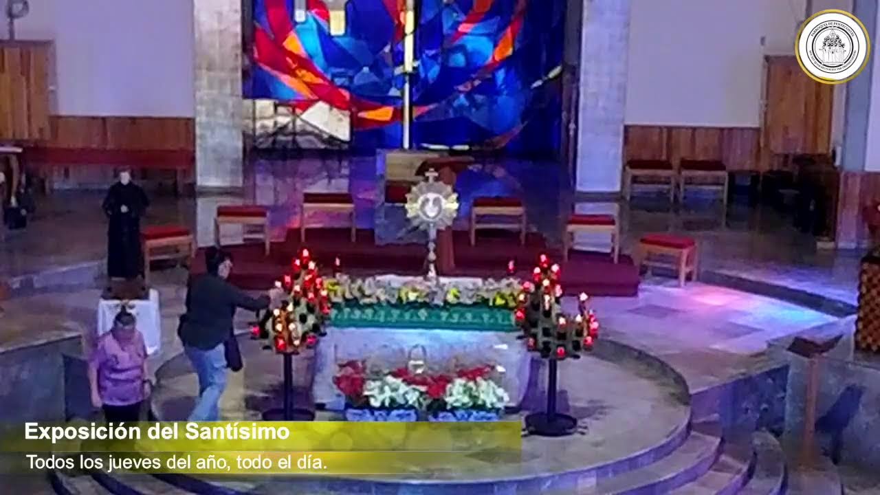 Santa Misa Jueves. Por la unidad de los cristianos.
