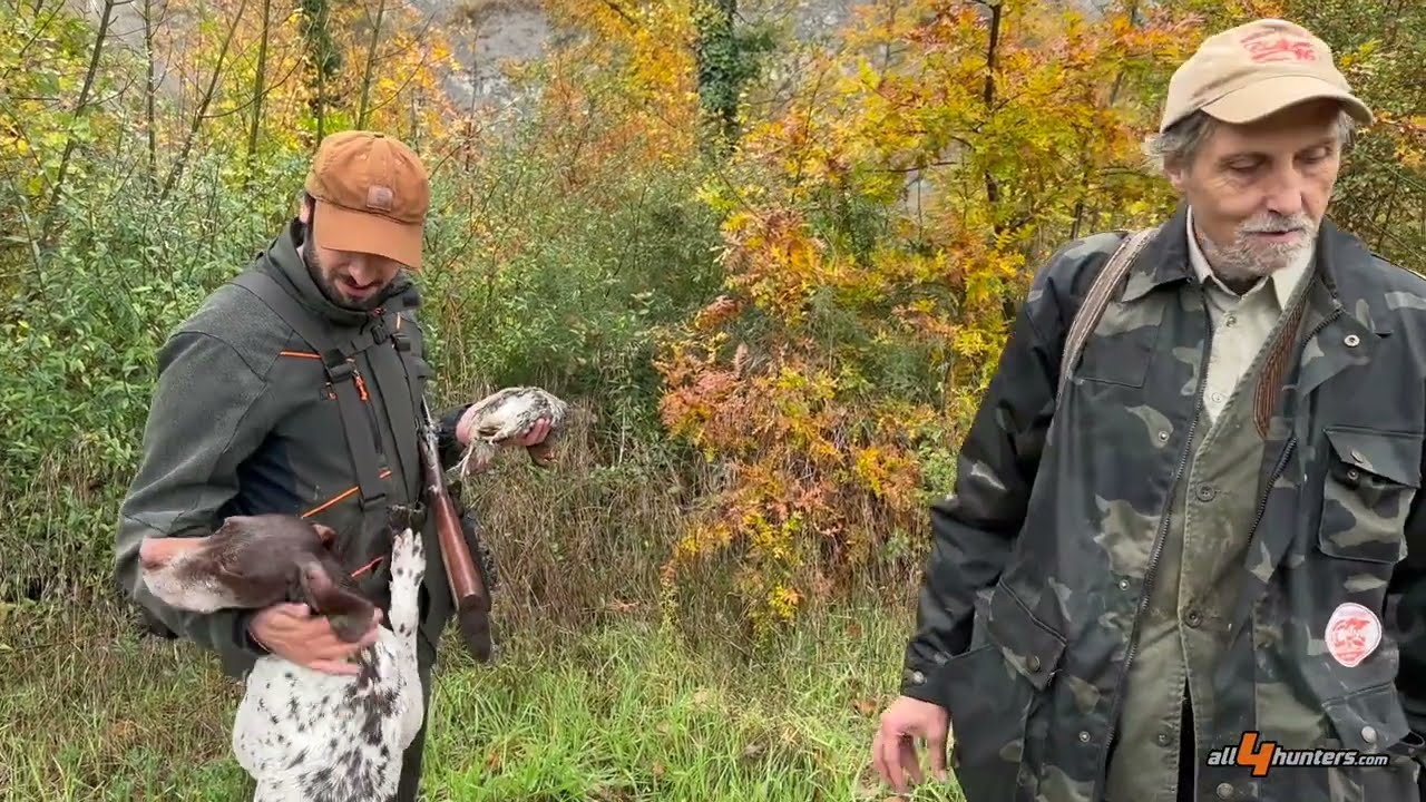 Caccia e cinofilia: nei boschi di Poggio Aquilone con inglesi, continentali e doppietta calibro 28