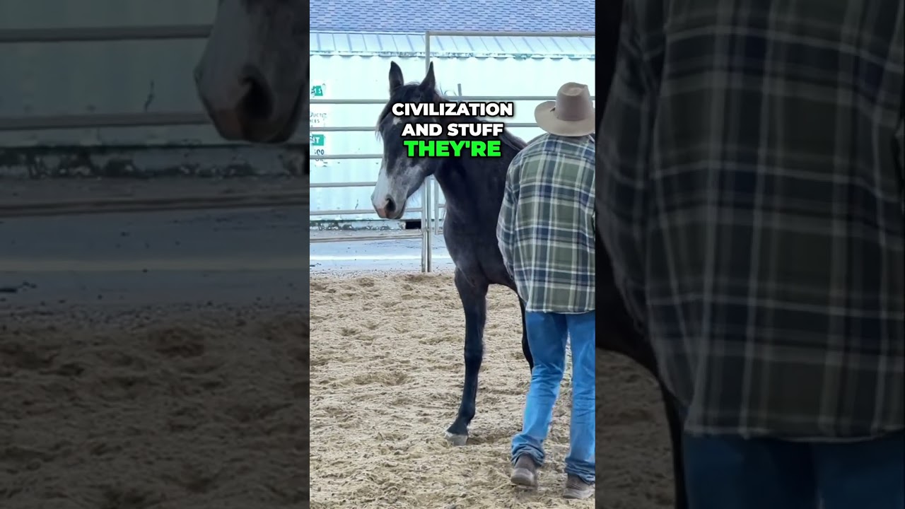 Exploring Eager Horse Breeds: Working with Susie Q