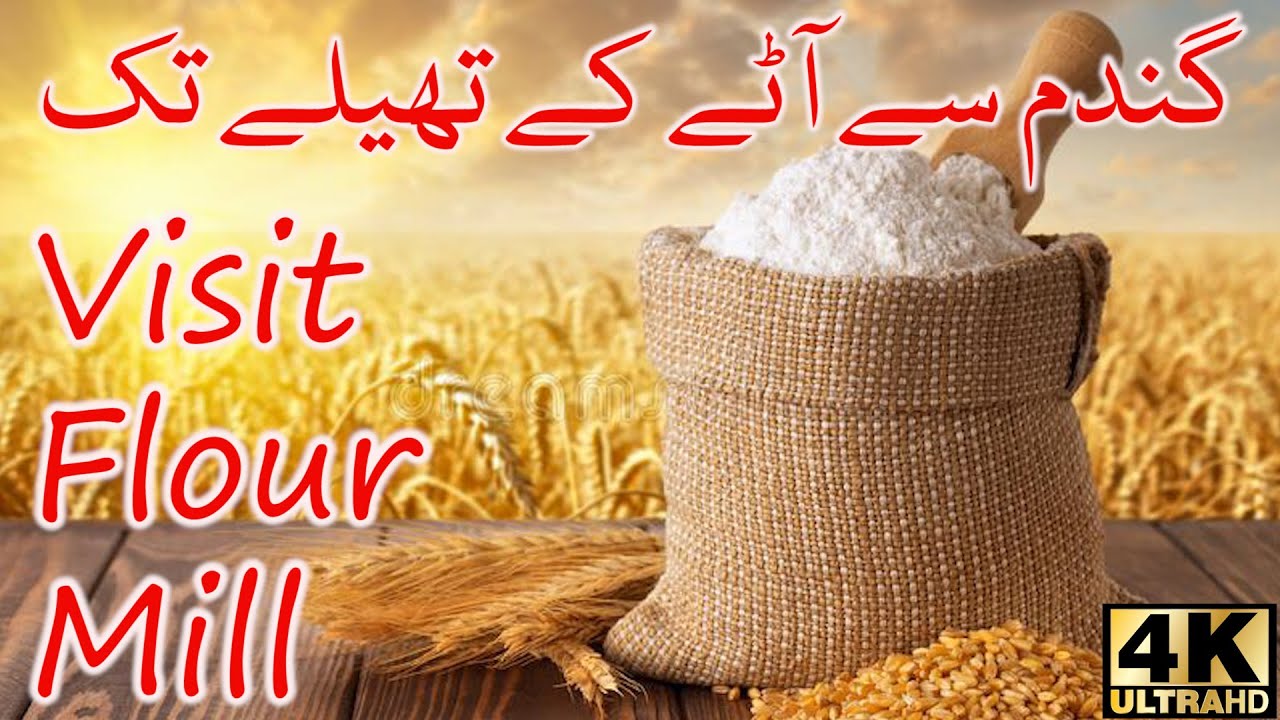 Flour Mill Visit | How is flour produced? Flour Factory | Wheat & General Mills