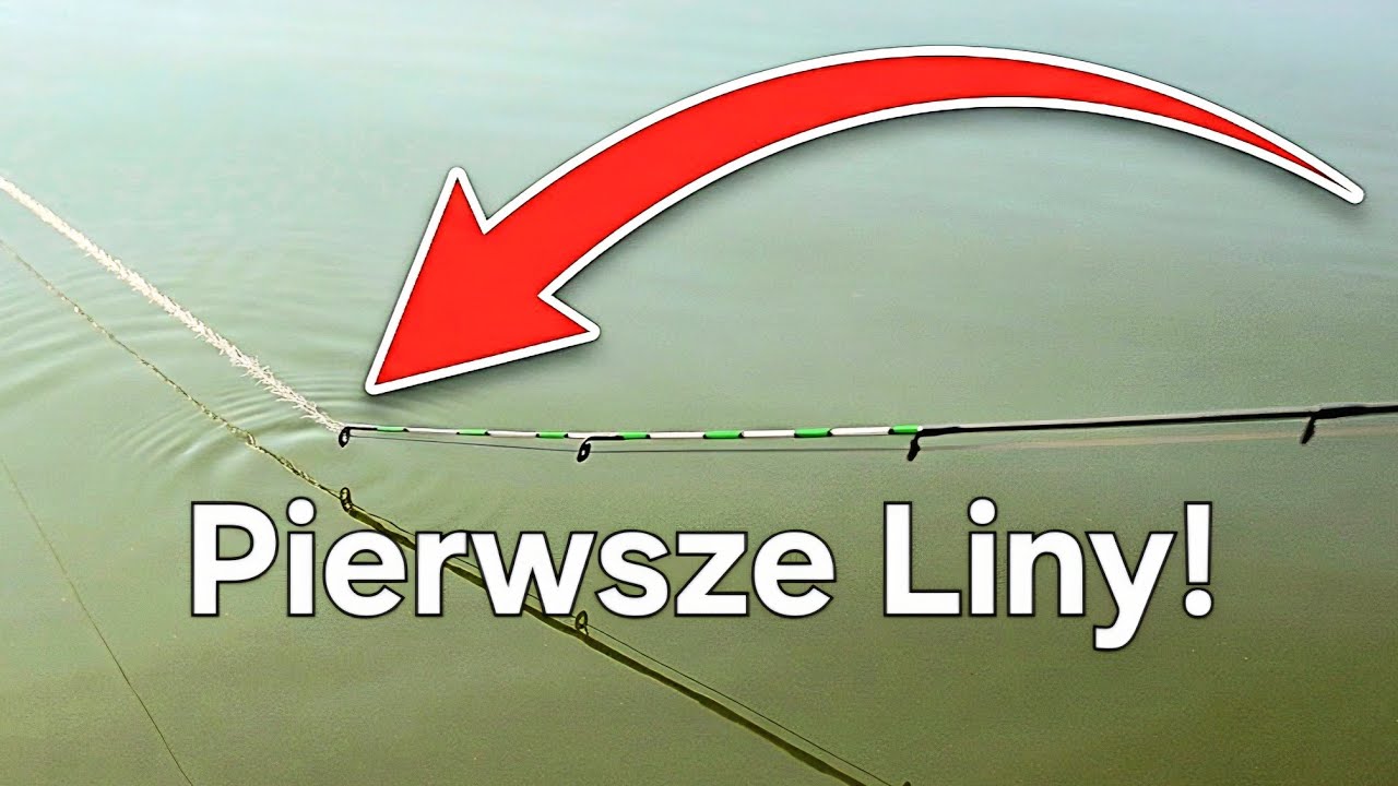 Szybka akcja nad Wodą: Liny, deszcz i mn&oacute;stwo brań! Wędkarstwo Method Feeder!