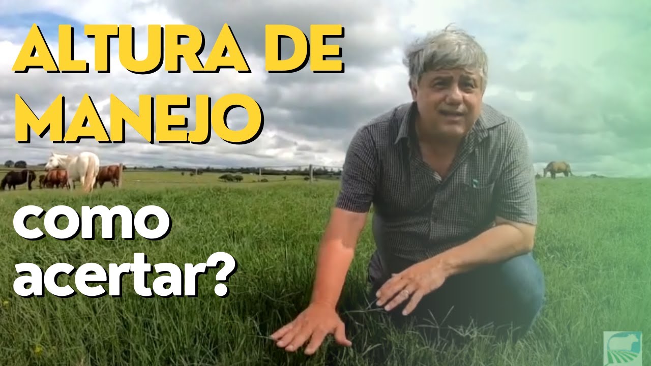 Manejo da Altura de Pasto de Haras Com Grama Bermuda - Ep #008