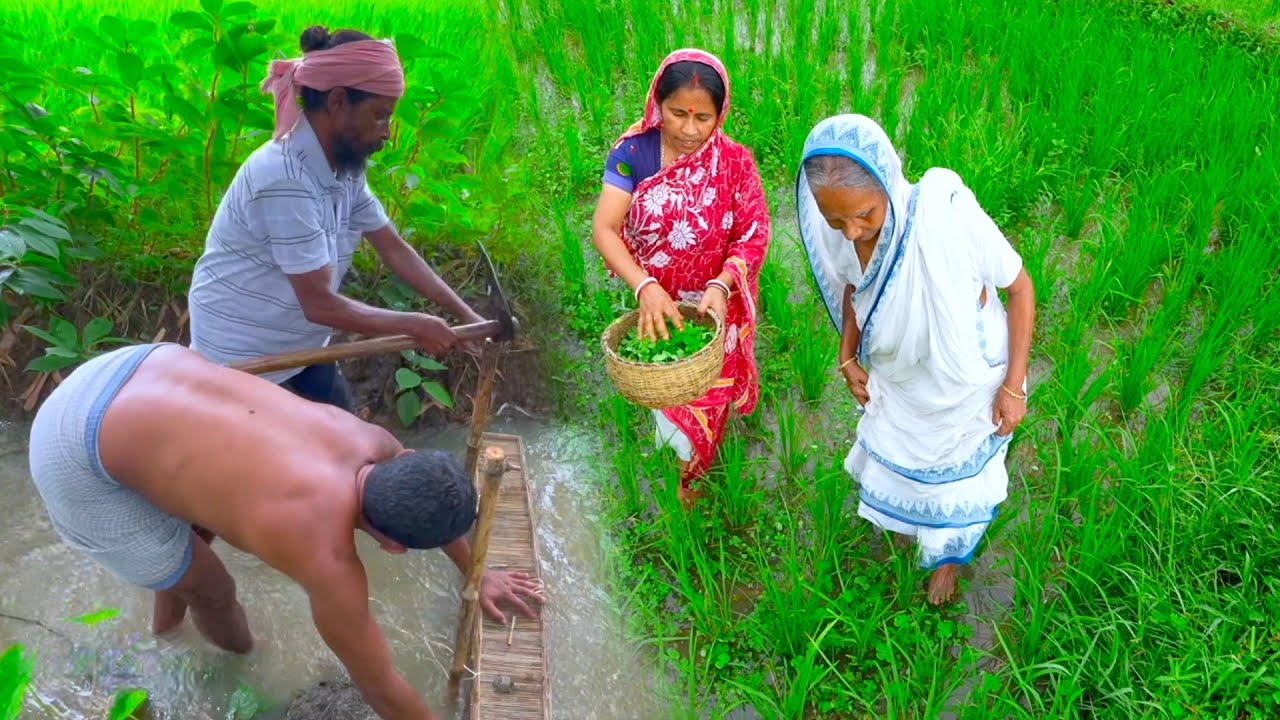 বর্ষায় মাঠের কৈ মাছ ধরে রান্না সঙ্গে শুশুনি শাক তুলে ভাজা | Koi fish & bengali famous Susuni Shak