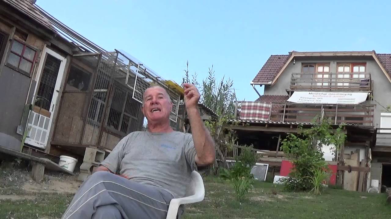 I.számú Interjú Meixner Zoltánnal