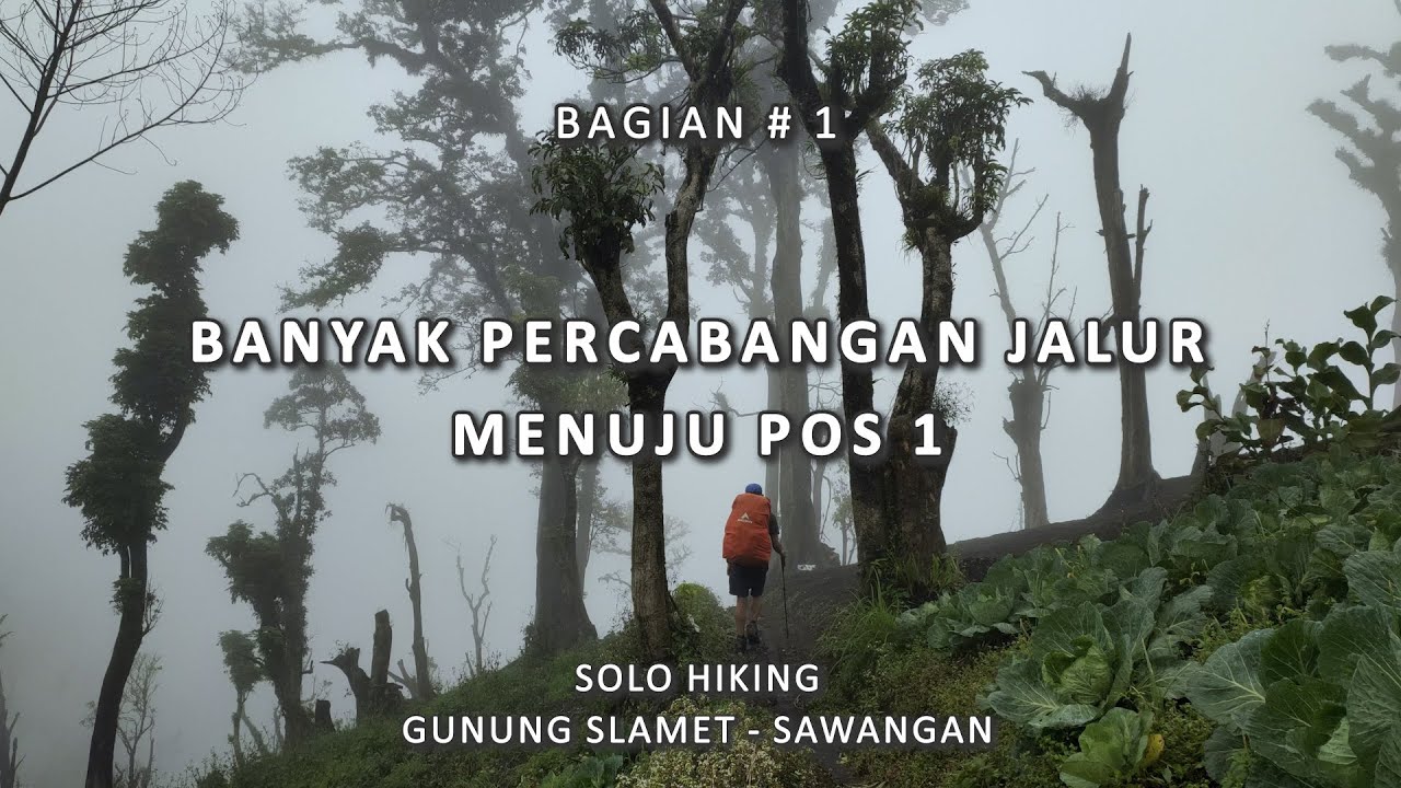 Solo Hiking Gunung Slamet via Sawangan #1 Menghilang di Tengah Kabut Tebal
