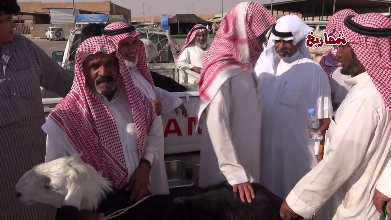 سوق الغنم بعنيزة الثلااثاء 7 12 1438هـ ( الجزء الأول )