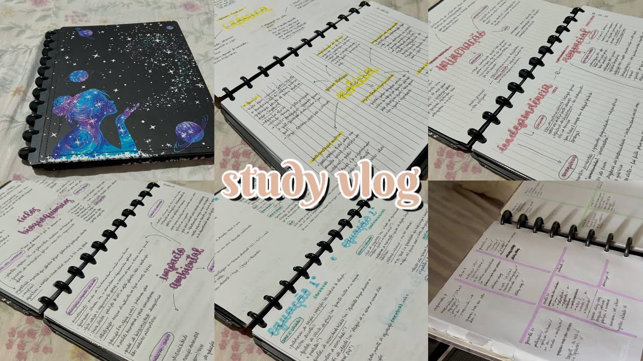study vlog | updates da semana, caderno de revisões, planejamento e pesquisas 