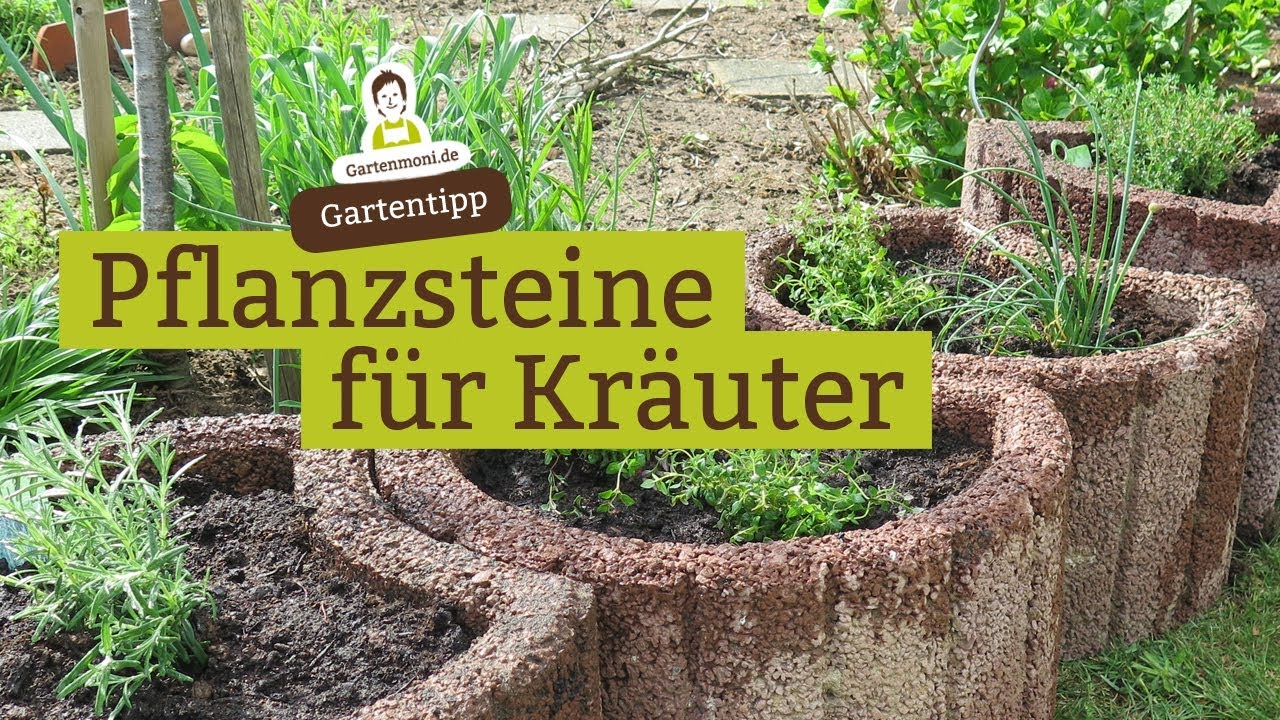 Pflanzsteine mit Kr&auml;utern bepflanzen