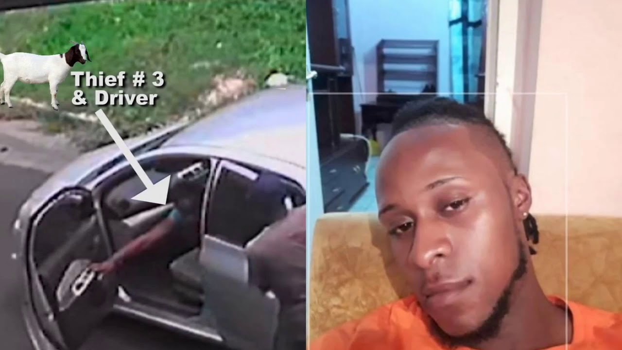 Goat thieves caught in stony hill Jamaica