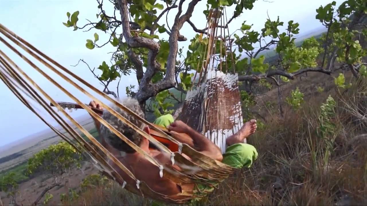 Casinha de abelha - Neuber Uchôa