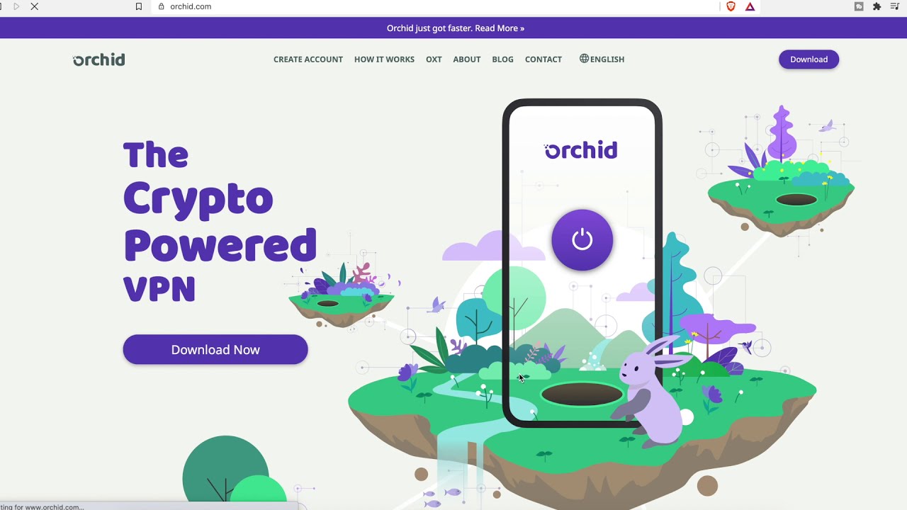 What is OXT | WHAT ARE THE BEST VPNS TO USE| how does or orchid crypto work