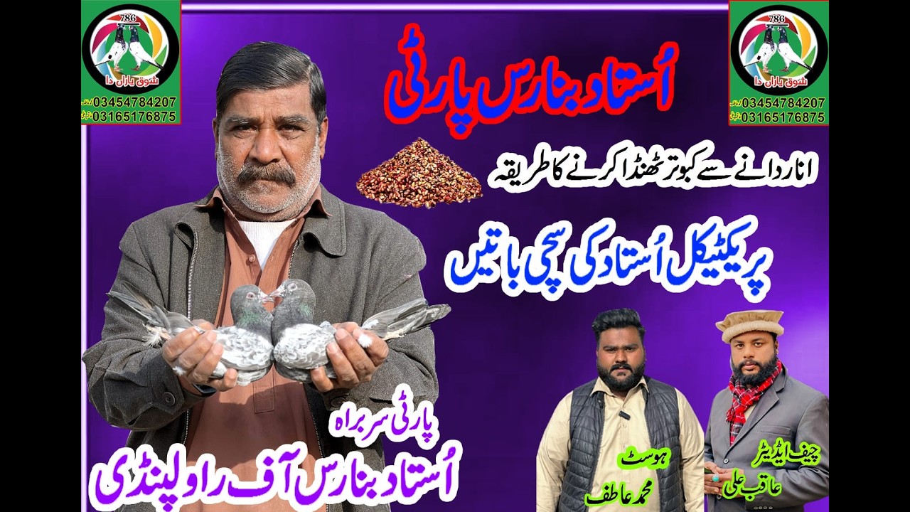 ustad banaras of Rawalpindi|Kabutar ko thanda Kesy kary by Ustad Banaras|#pigeon #parwazikaboter