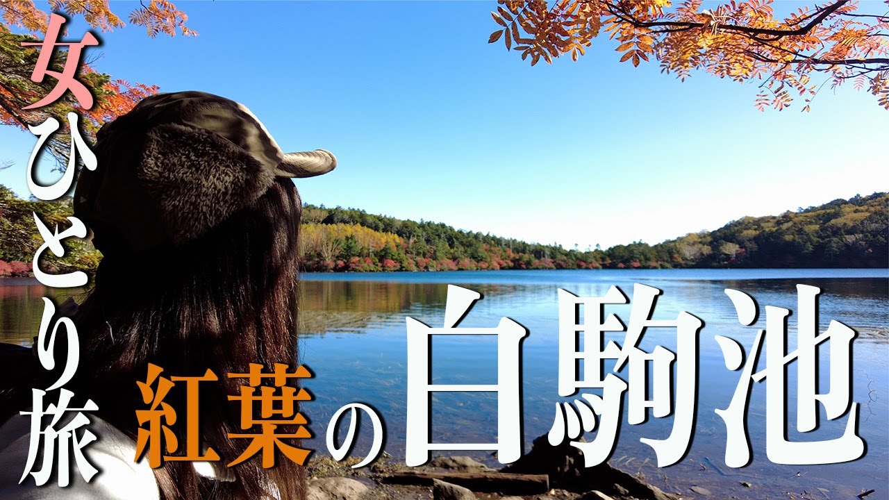 白駒池の紅葉は必見！北八ヶ岳で楽しむ女ひとり登山