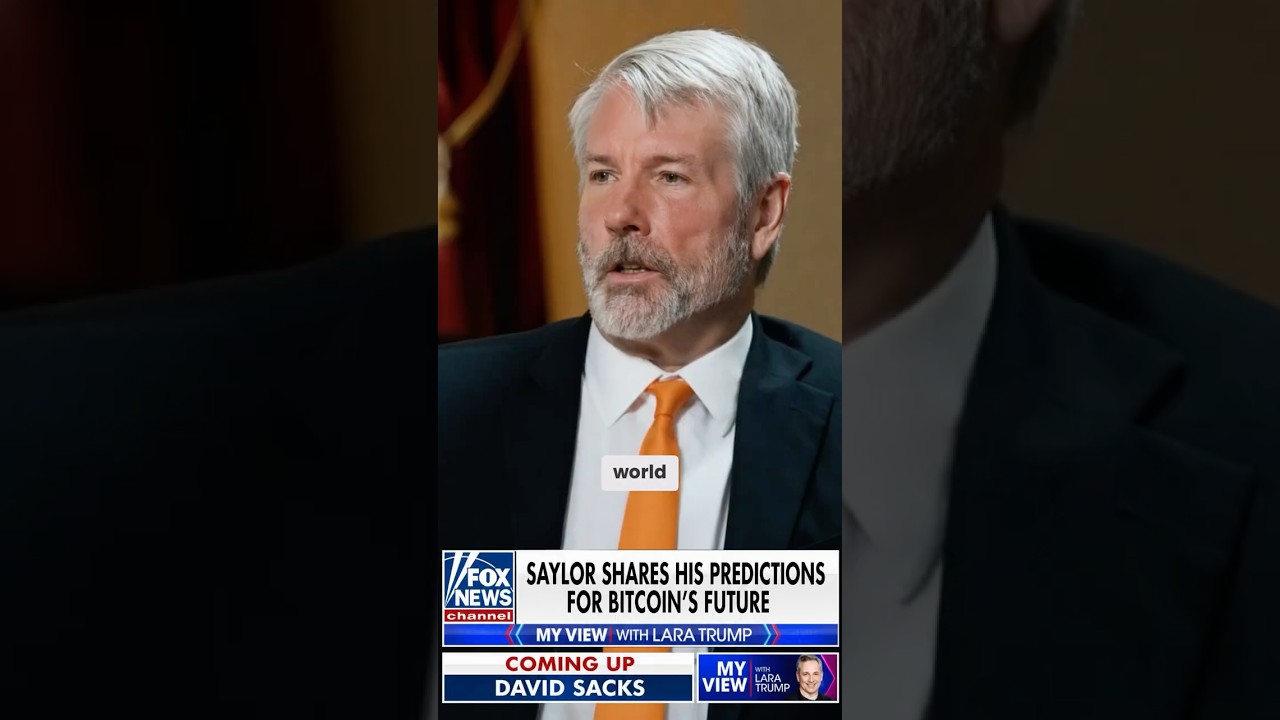 Michael Saylor DESTROYS Bitcoin Bears