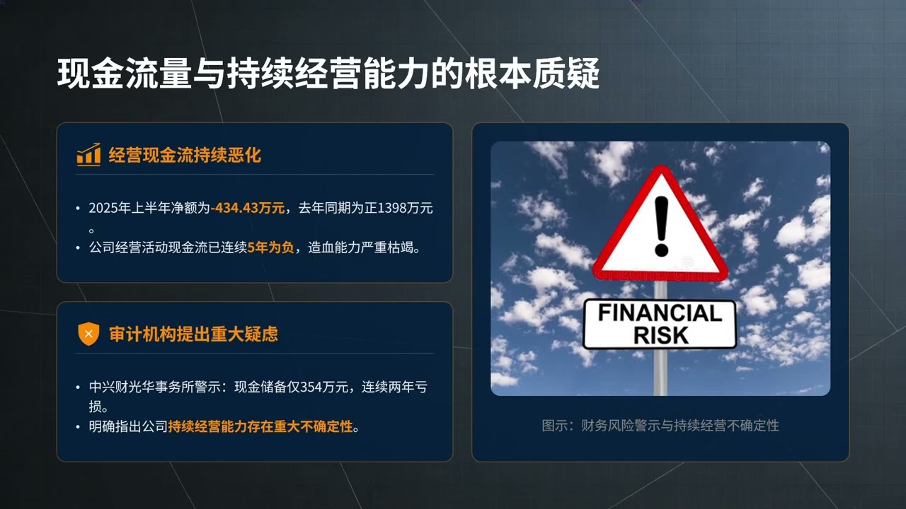 上海创兴资源开发股份有限公司2025年生产经营分析