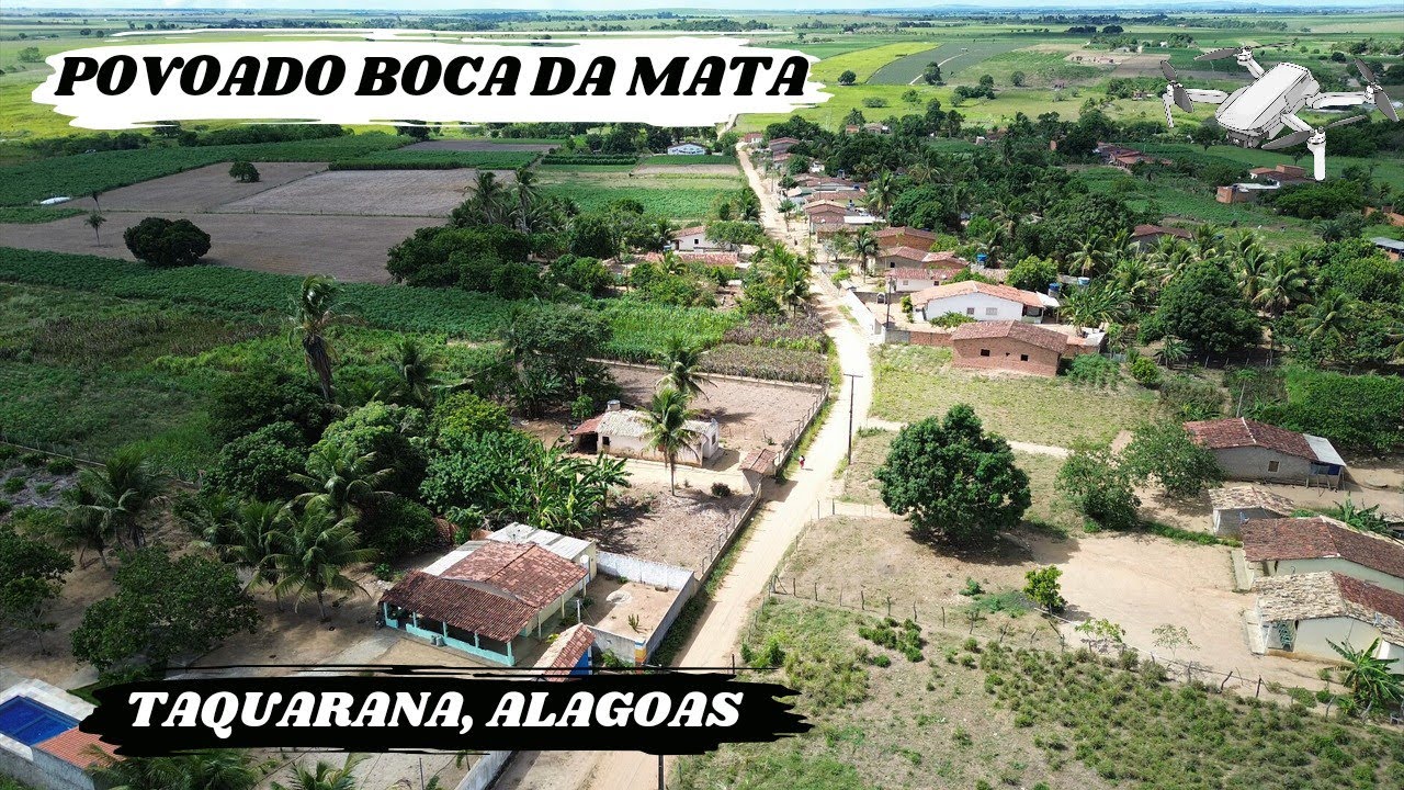 BOCA DA MATA, POVOADO DE TAQUARANA, ALAGOAS, 15 DE MARÇO DE 2024. #dronexereta #dji #viral #4k