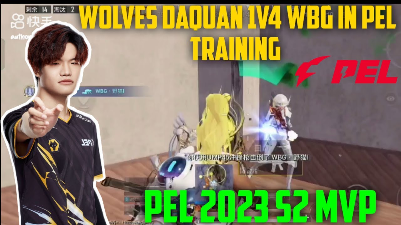 Daquan pel training gameplay|daquan|pel Chinese pros|