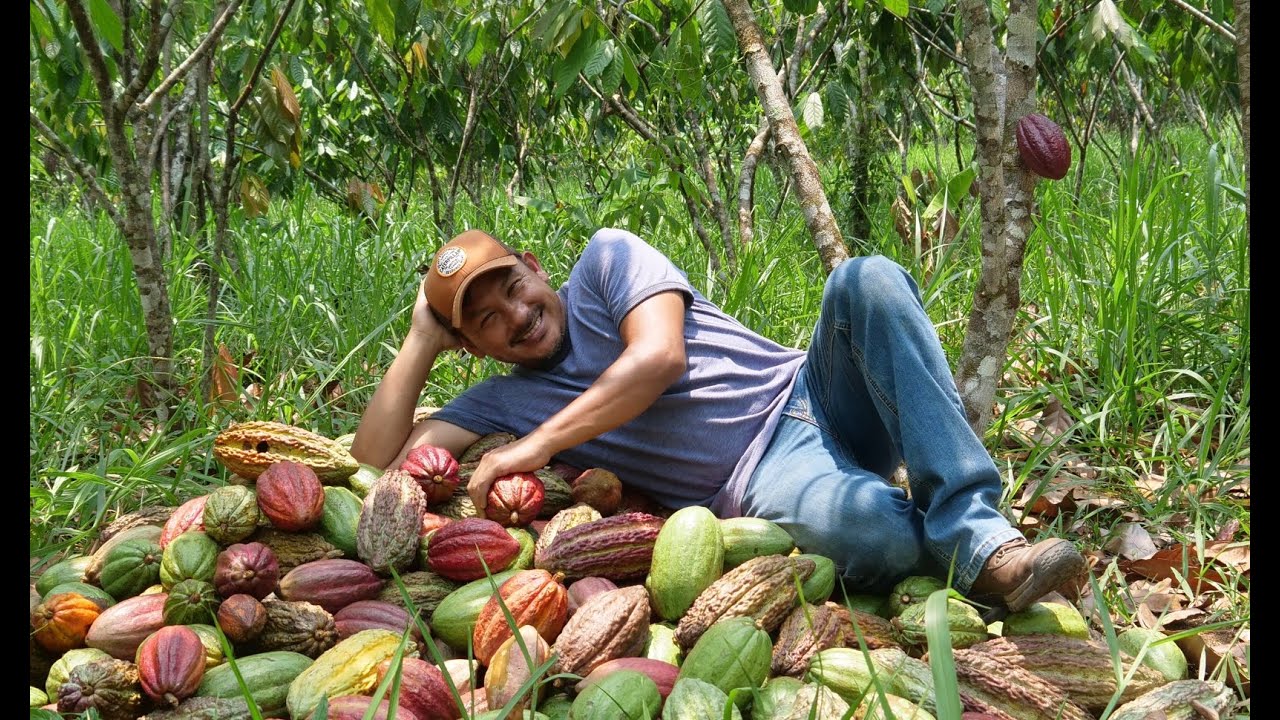 Episode 7: Guatemala's Heirloom Awakening