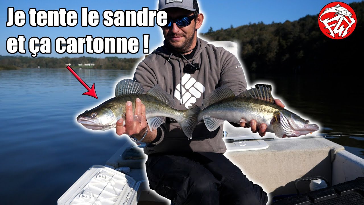 À la Recherche du Graal : Capturer mon Premier SANDRE Maillé de la Saison sur la Vilaine