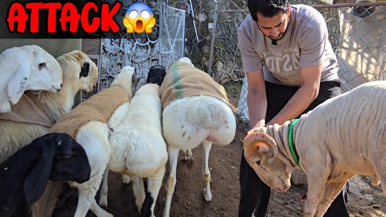 Snowman ne attack kr diya 😱 - Weron k pally utar k malish 😍 - JNTV Vlogs