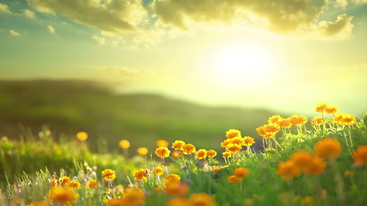 Morning Relaxing Music   Positive Feelings and Energy Adele#relaxingvideo #relaxnature @vietfun79