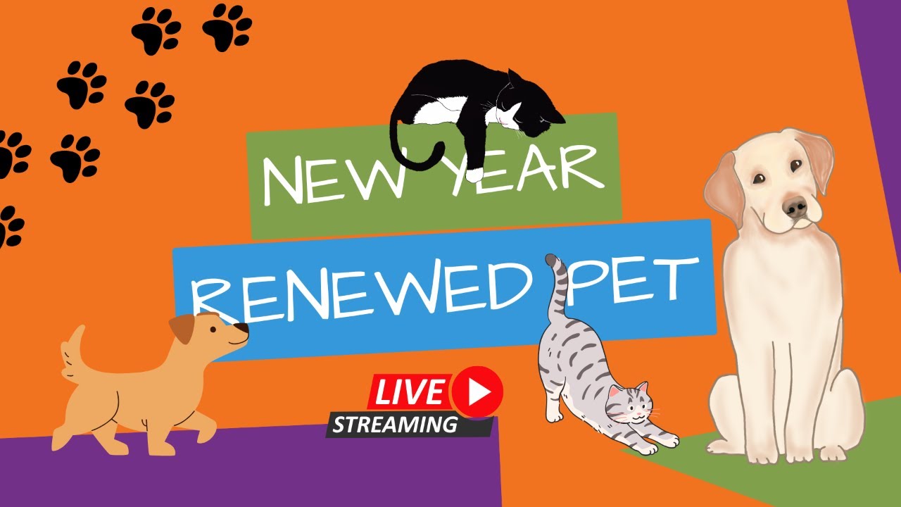 New Year, Renewed Pet