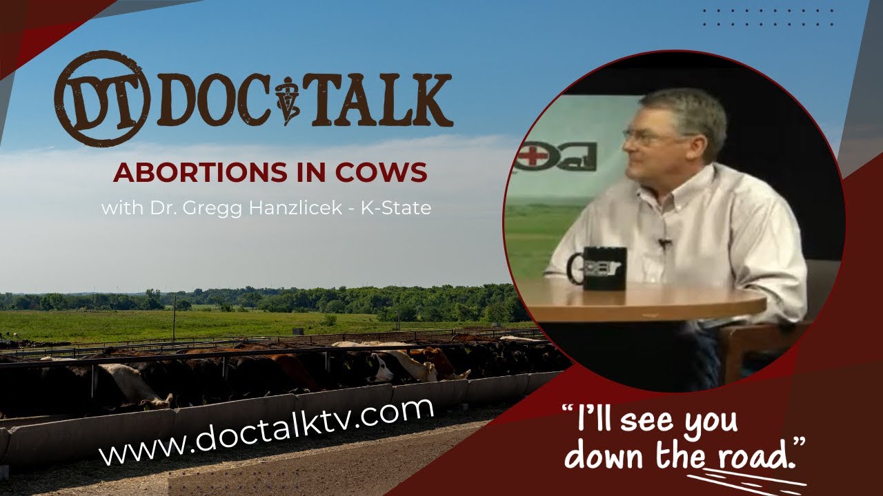DocTalk Ep 40 - Abortions in Cows