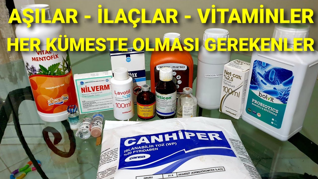 TAVUKLARDA AŞI TAKVİMİ, İLAÇ, VİTAMİN...  KÜMESLERİNİZEKİ BÜTÜN HASTALIKLARIN TEDAVİSİ BU VİDEO DA.