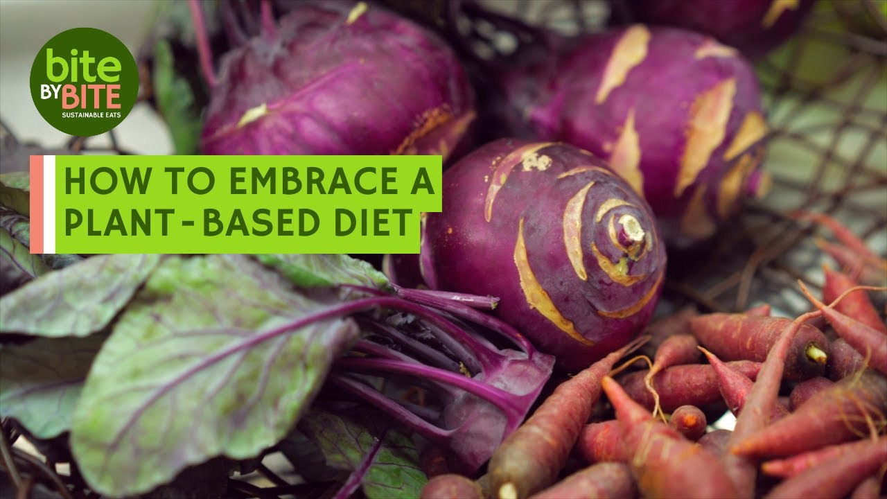 How to Embrace a Plant-Based Diet | Bite by Bite: Sustainable Eats