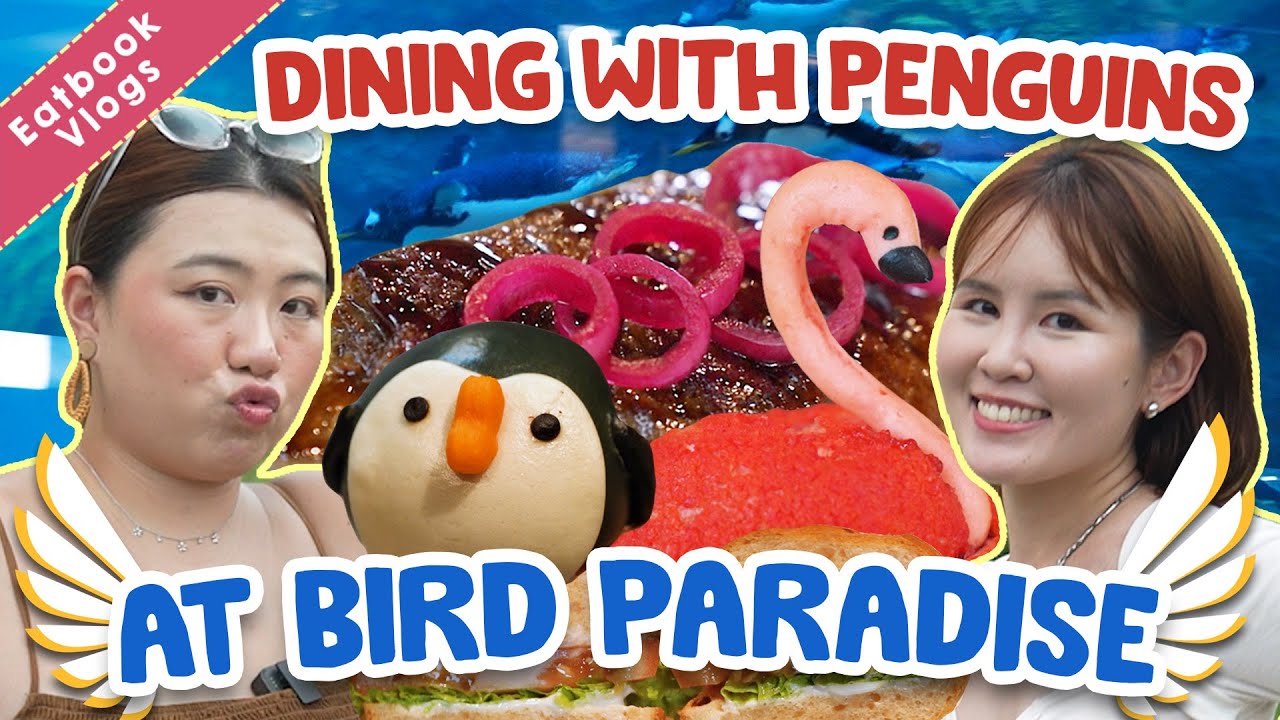 We Dined With The Penguins At Asia's LARGEST BIRD PARK! | Eatbook Vlogs | EP 104